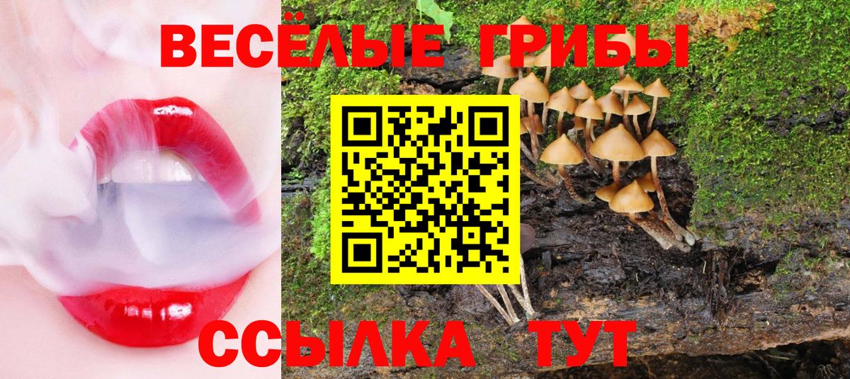 Галлюциногенные грибы мухоморы Ачинск